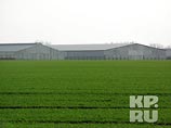 Вслед за организатором резни в Кущевской под уголовную статью угодила его мать Надежда Цапок Вслед за организатором резни в Кущевской под уголовную статью угодила его мать Надежда Цапок