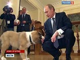 Путин осчастливил очередного маленького Диму