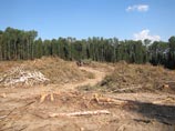 Проект строительства высокоскоростной автотрассы через Химкинский лес, который был утвержден изначально, уже несколько лет вызывает бурные протесты экологов, общественности и некоторых политиков