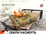 В Петербурге снегоуборочная машина задавила известного врача-кардиолога, а мусоровоз - ребенка