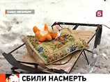В Петербурге снегоуборочная машина задавила известного врача-кардиолога, а мусоровоз - ребенка В Петербурге снегоуборочная машина задавила известного врача-кардиолога, а мусоровоз - ребенка