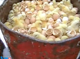 По факту уничтожения цыплят на курской фабрике возбуждено уголовное дело По факту уничтожения цыплят на курской фабрике возбуждено уголовное дело