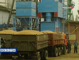По прогнозу РЗС, объем импорта зерна в РФ в текущем сельскохозяйственном сезоне (с 1 июля 2010 года по 30 июня 2011 года) составит 3-3,5 млн тонн