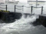 Высота цунами на побережье архипелага составила, по данным национального метеорологического управления, от 10 до 50 см