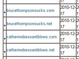 Он зарегистрировал 439 доменных имен наподобие CatherineBessantSucks.com или SallieKrawcheckblows.com, чтобы опередить возможных недоброжелателей