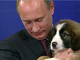 По мнению Ходорковского, "любовь к собакам - единственное искреннее, доброе чувство, прорывающее ледяной панцирь "национального символа" начала 2000-х"