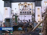 Российский гендиректор рыбацкой компании отказался от сухой голодовки во Вьетнаме Российский гендиректор рыбацкой компании отказался от сухой голодовки во Вьетнаме