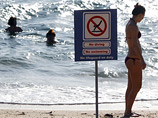 Италия предложила Египту оградить побережье от акул электромагнитным щитом