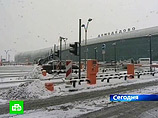 Власти Подмосковья направили дополнительные автобусы для доставки пассажиров из аэропорта "Домодедово" в Москву