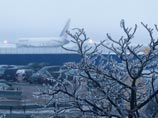 Аэропорт "Домодедово", 26 декабря 2010 года