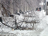 Итоги ледяного дождя: потери несут провайдеры и операторы сотовой связи