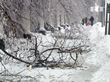 Итоги ледяного дождя: потери несут провайдеры и операторы сотовой связи Итоги ледяного дождя: потери несут провайдеры и операторы сотовой связи