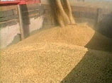 Росстат: урожай зерна в России упал почти на 40%