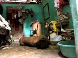 На  Гаити продолжает бушевать эпидемия холеры: умерли уже 3333 человека 