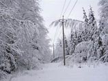 Как сообщили сегодня в областном управлении МЧС, 1 января в Нижегородской области ожидается пасмурная погода, без осадков, 2 января - усиление ветра, метель, сильный снегопад