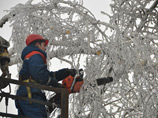 МЧС: без электричества в Подмосковье остаются 46 жилых домов МЧС: без электричества в Подмосковье остаются 46 жилых домов