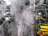 Новые отключения из-за снегопадов произошли в нескольких районах Подмосковья Новые отключения из-за снегопадов произошли в нескольких районах Подмосковья