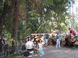 Новая акция в защиту Химкинского леса заявлена на 15 января