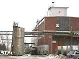 Власти Германии закрыли 4709 животноводческих ферм после того, как выяснилось, что большая партия корма для животных заражена токсичным химикатом диоксином