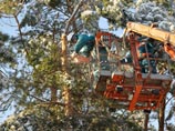 Вандалы мешают восстанавливать электричество в Подмосковье, в понедельник без света останутся 18 районов Вандалы мешают восстанавливать электричество в Подмосковье, в понедельник без света останутся 18 районов