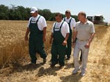 Премьер-министр Владимир Путин осмотрел пшеничное поле ЗАО "Фирма"Агрокомплекс", 3 июля 2009 года