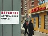 Петербург из-за африканской чумы свиней истребляет бездомных животных. Их защитники пытаются мешать Петербург из-за африканской чумы свиней истребляет бездомных животных. Их защитники пытаются мешать