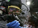 Немцы нашли убийцу премьер-министра Швеции Улофа Пальме Немцы нашли убийцу премьер-министра Швеции Улофа Пальме