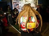 В океанариуме Sea Life открывается мемориал знаменитому осьминогу Паулю
В океанариуме Sea Life открывается мемориал знаменитому осьминогу Паулю