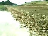 В Гаване самый острый за 50 лет дефицит воды - два водохранилища "почти высохли" В Гаване самый острый за 50 лет дефицит воды - два водохранилища "почти высохли"