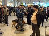 Полицейский департамент Нью-Йорка направил в Москву специалиста по борьбе с терроризмом для помощи в расследовании взрыва в международном аэропорту "Домодедово" Полицейский департамент Нью-Йорка направил в Москву специалиста по борьбе с терроризмом для помощи в расследовании взрыва в международном аэропорту "Домодедово"