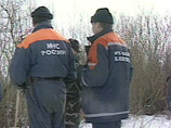 Несчастный случай произошел в пятницу вечером в поселке Тесово-Нетыльский, который расположен недалеко от Новгорода