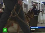 Сотрудники милиции проводят визуальный осмотр помещений вокзалов, также к работе приступил кинолог с собакой