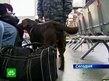 Бомбу ищут на всех девяти вокзалах Москвы