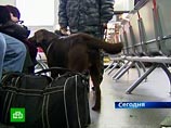 Бомбу ищут на всех девяти вокзалах Москвы Бомбу ищут на всех девяти вокзалах Москвы