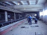 В зерновых "закромах Родины" прокуратура нашла мертвых птиц и мышей В зерновых "закромах Родины" прокуратура нашла мертвых птиц и мышей