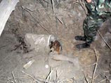 Таиланд обвиняет Россию в побоище с камбоджийцами, в ходе которого разгромили древний храм Таиланд обвиняет Россию в побоище с камбоджийцами, в ходе которого разгромили древний храм