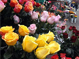 ГУВД Москвы заказало 2000 гвоздик, 140 сборных букетов по 38 цветов  и три цветочных корзины. Цветы надо собирать очень быстро 
