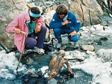 Ледяной человек" был найден в Альпах на границе Италии и Австрии в 1991 году. Первоначально считалось, что это погибший альпинист, однако затем выяснилось, что этому мумифицированному телу более пяти тысяч лет