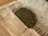 На Урале арестован боец ОМОНа, сбывавший марихуану наркоманам На Урале арестован боец ОМОНа, сбывавший марихуану наркоманам