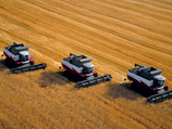 Зерновые ассоциации требуют снять запрет на экспорт зерна