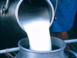МАГАТЭ представило цифры по радиоактивному загрязнению продуктов питания в Японии МАГАТЭ представило цифры по радиоактивному загрязнению продуктов питания в Японии
