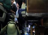 Пингвин удивил американских авиапассажиров, прогулявшись по самолету (ВИДЕО)
