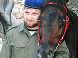 Лошадь Кадырова выиграла 200 тысяч долларов на скачках в Дубае
