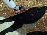 Первое письмо сотрудник АЭС "Фукусима-2 Дайини", работающий в составе бригады, пытающейся взять под контроль вышедшие из строя реакторы на соседней АЭС "Фукусима-1 Дайичи" Первое письмо сотрудник АЭС "Фукусима-2 Дайини", работающий в составе бригады, пытающейся взять под контроль вышедшие из строя реакторы на соседней АЭС "Фукусима-1 Дайичи"