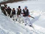 Уже в 2011 году Россия обзаведется собственными арктическими войсками