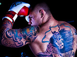 Бразильский полутяжеловес Абсолютного бойцовского чемпионата (UFC) Тиаго Сильва временно отстранен от боев из-за допинг-пробы, сданной после его боя с Брэндоном Верой