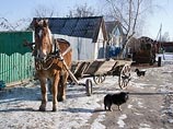 В удмуртской глубинке машину "скорой помощи" заменяет телега с лошадью В удмуртской глубинке машину "скорой помощи" заменяет телега с лошадью