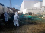 Для выявления места утечки радиоактивной воды с АЭС "Фукусима-1" специалисты окрасили ее порошком белого цвета