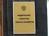 В Рослесхозе на днях заявили, что ведомство не может подыскать территории для высадки 500 га деревьев вместо вырубаемых в ходе строительства трассы В Рослесхозе на днях заявили, что ведомство не может подыскать территории для высадки 500 га деревьев вместо вырубаемых в ходе строительства трассы
