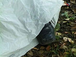 Воронежский чиновник найден в лесу повешенным на собственном шарфе Воронежский чиновник найден в лесу повешенным на собственном шарфе